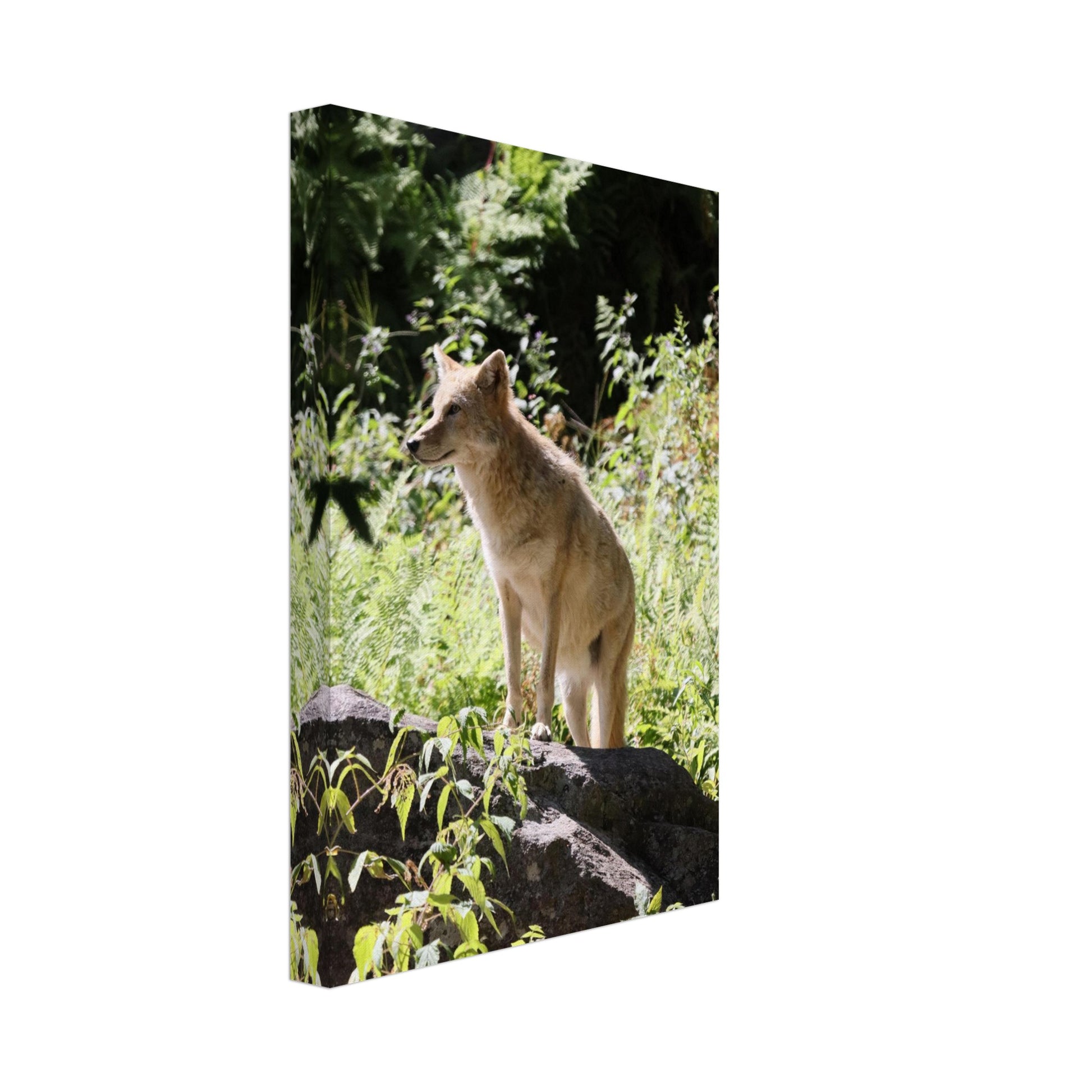 f6cdc20b-9c95-4c2b-9e77-8a0d8124d3c9