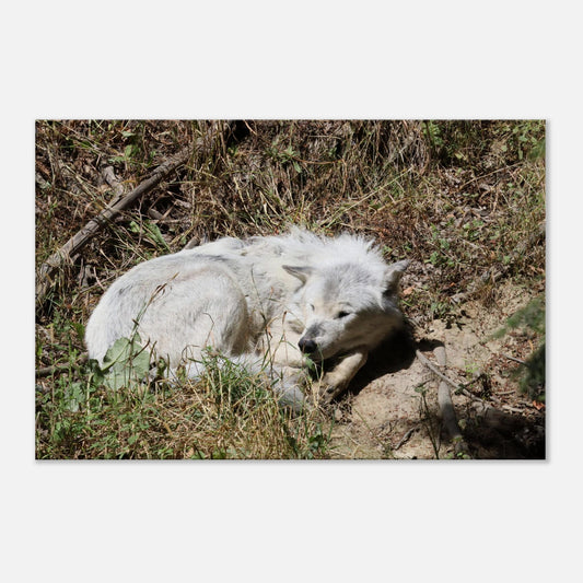 f6f82ae4-639a-4ec9-8909-f6fc54e83bb5