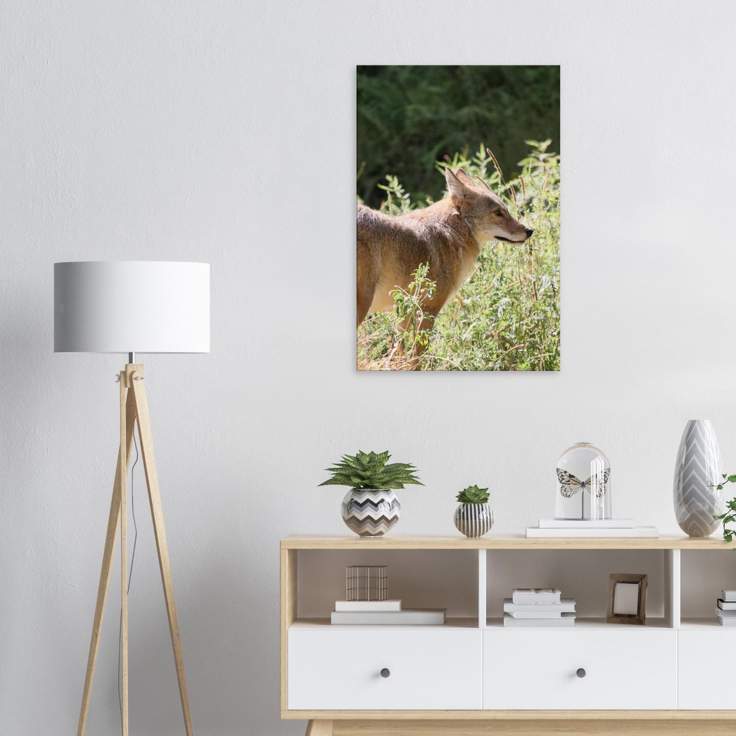 f7042541-c2c8-4d37-b21f-b1e101314224