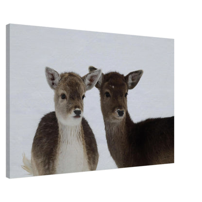 f875890b-0936-4676-a03b-14f6353f7d80