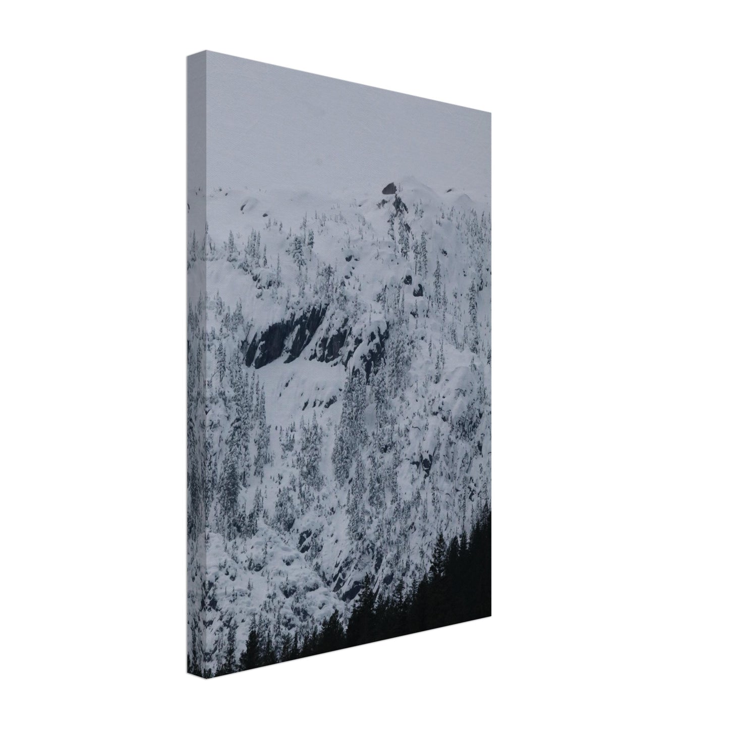f9af8d3c-6470-4426-89a9-b634d7855816