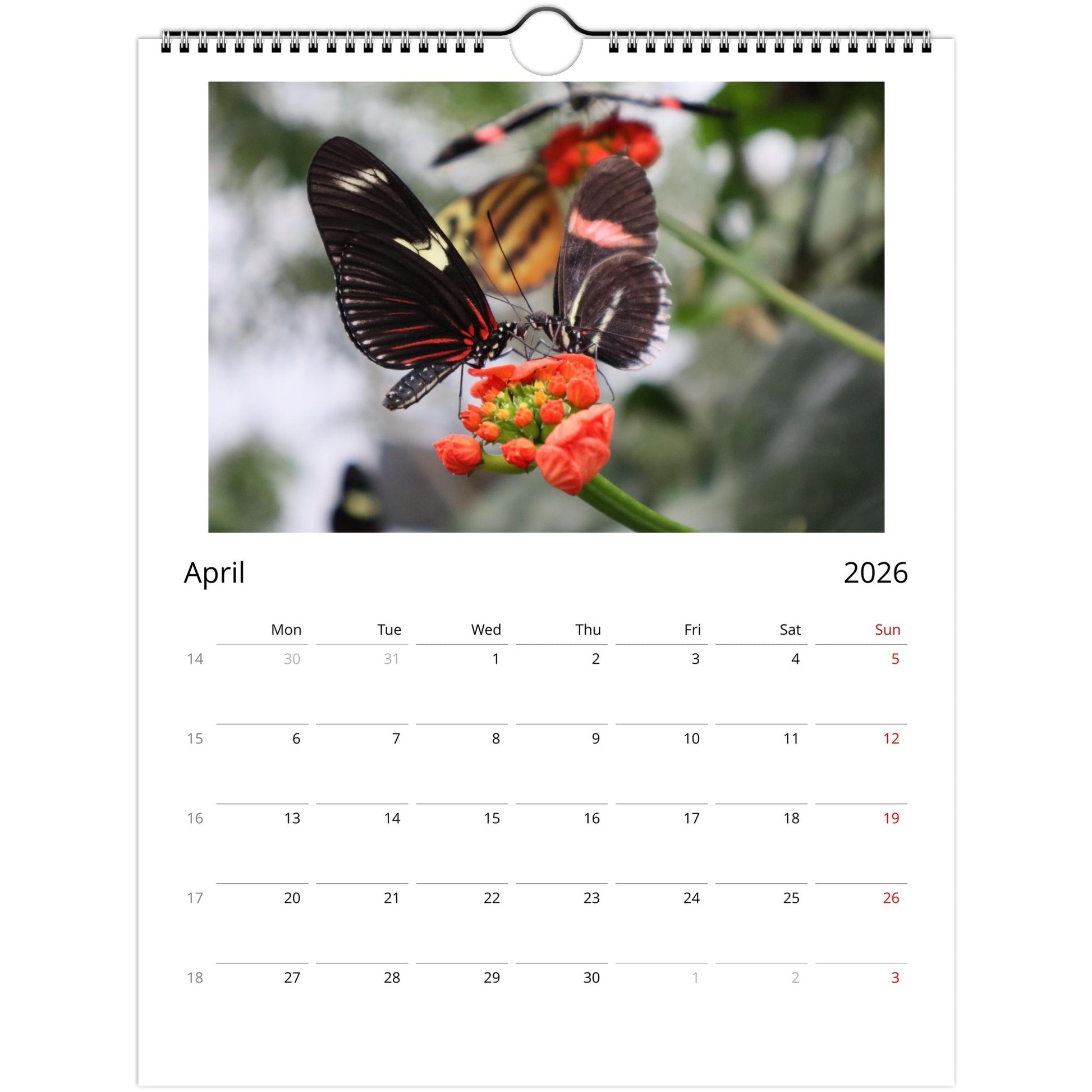 f9b24346-b684-4447-b1d8-4787635fdb02