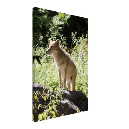 faaf706d-f201-4ba1-a35b-5d60a1890e69