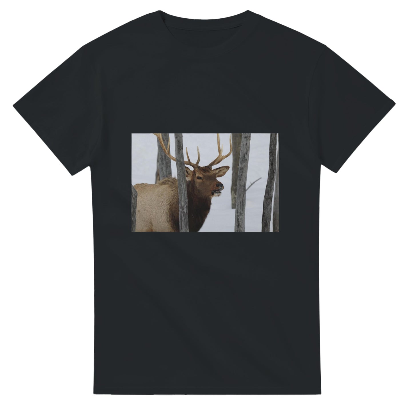 fac891b5-1309-48ea-af19-f6178d902553