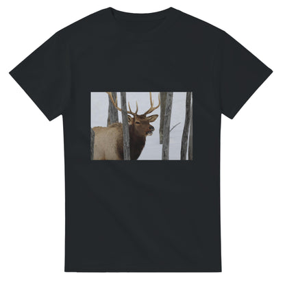 fac891b5-1309-48ea-af19-f6178d902553