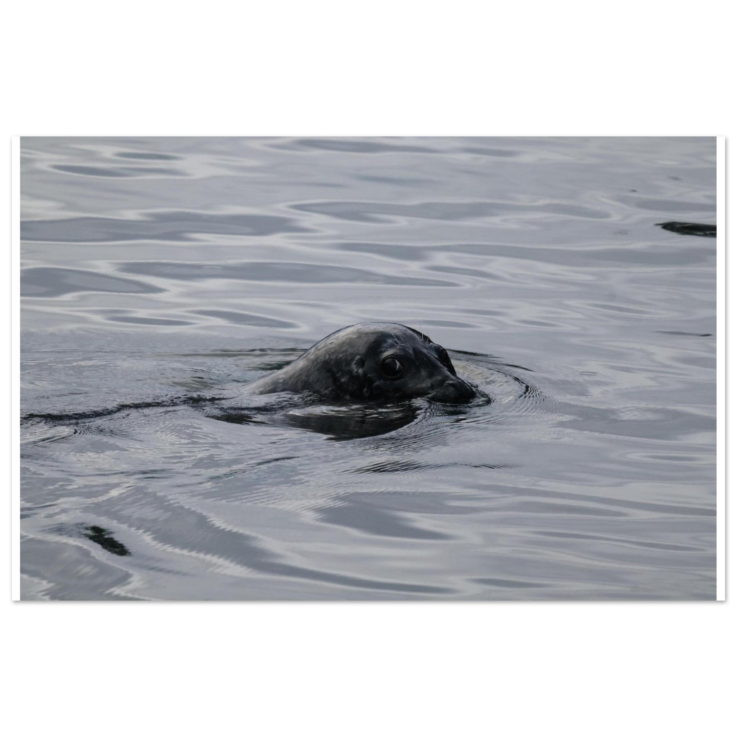 faeb11e0-76ee-4243-8634-4d63d7181d26