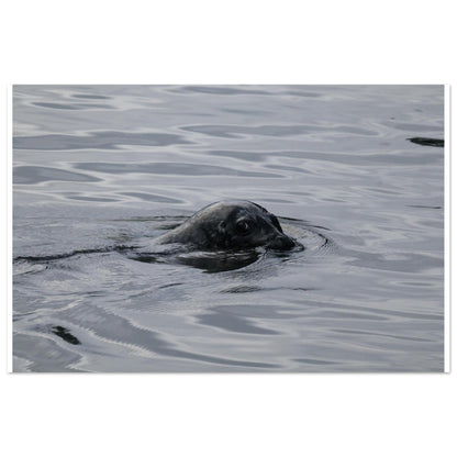 faeb11e0-76ee-4243-8634-4d63d7181d26