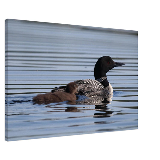 fb123e2e-c3e8-4ed4-86cf-732234b58f8d