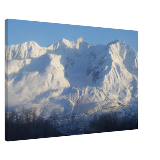 fbc918a1-441e-44b6-bec6-b49bc7efccf3