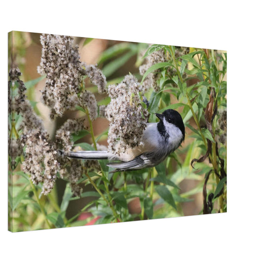 fbeba569-de12-4f7c-9896-dcbe3425218e