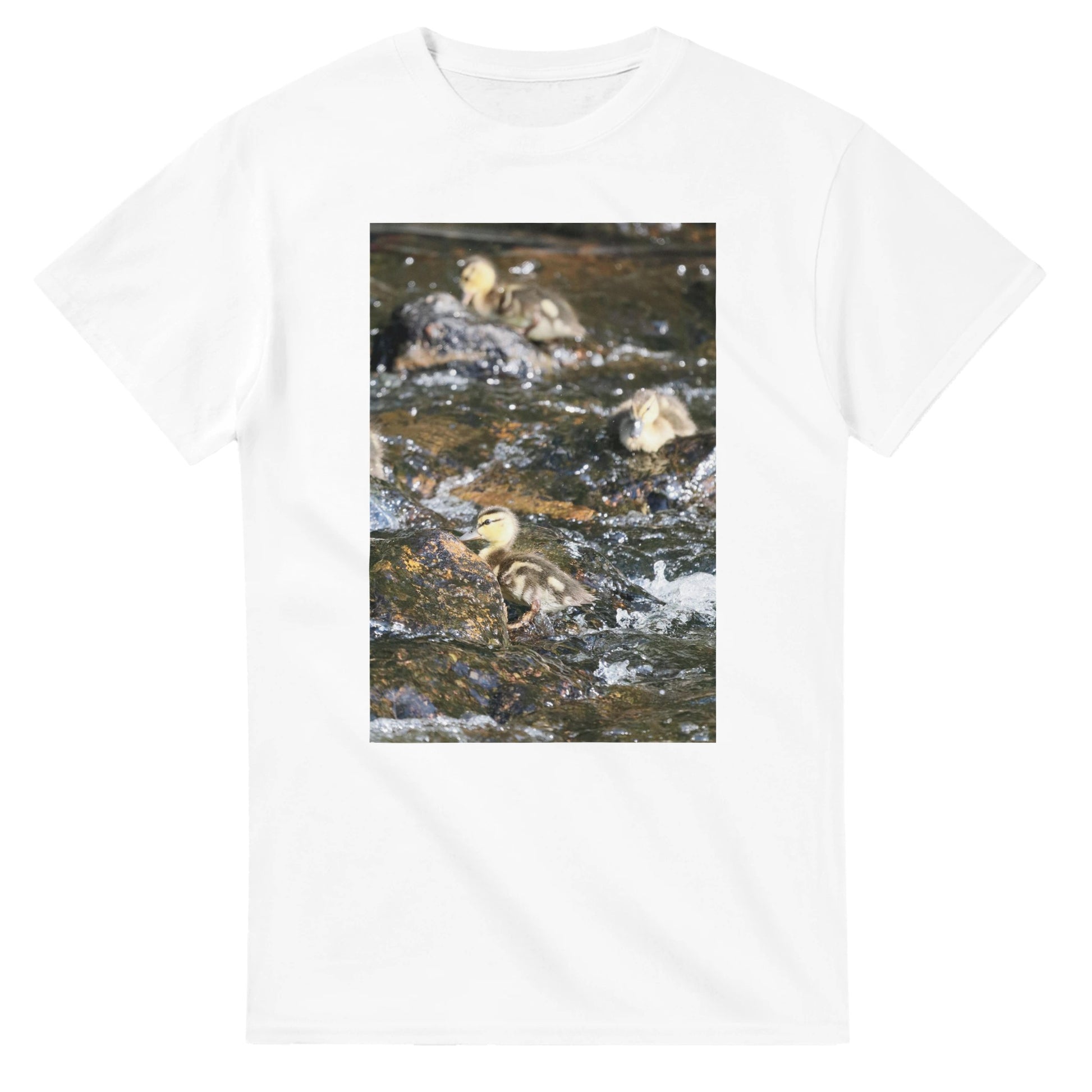 fc1697ac-4540-4959-85f6-c9657ae565c0