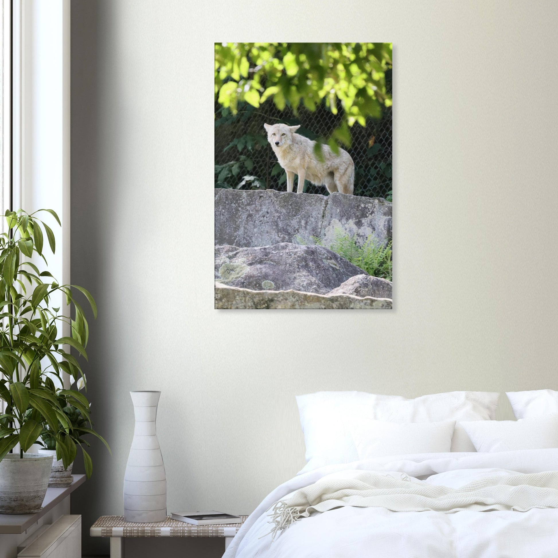 fc4c9730-f497-4bcd-9376-a665255f1041