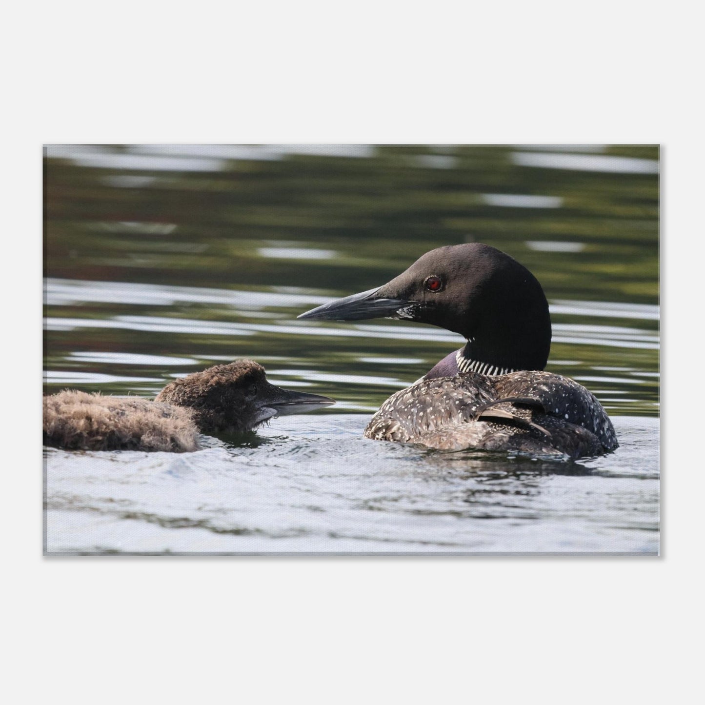 fc726f3e-9018-4815-89af-a28050fa8641