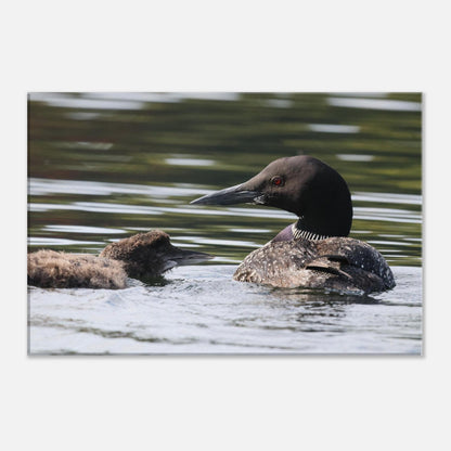 fc726f3e-9018-4815-89af-a28050fa8641