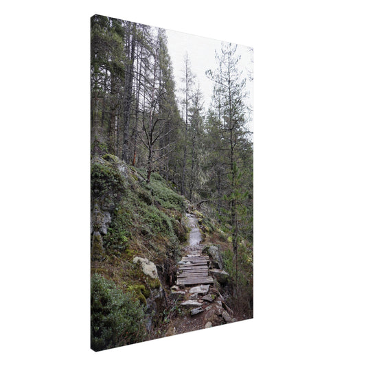 fc8c53d5-19fd-4b32-a1b2-6a0ba6aa3f58