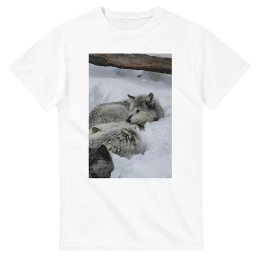 fca21548-8e4f-4902-a067-2be727e2d79d