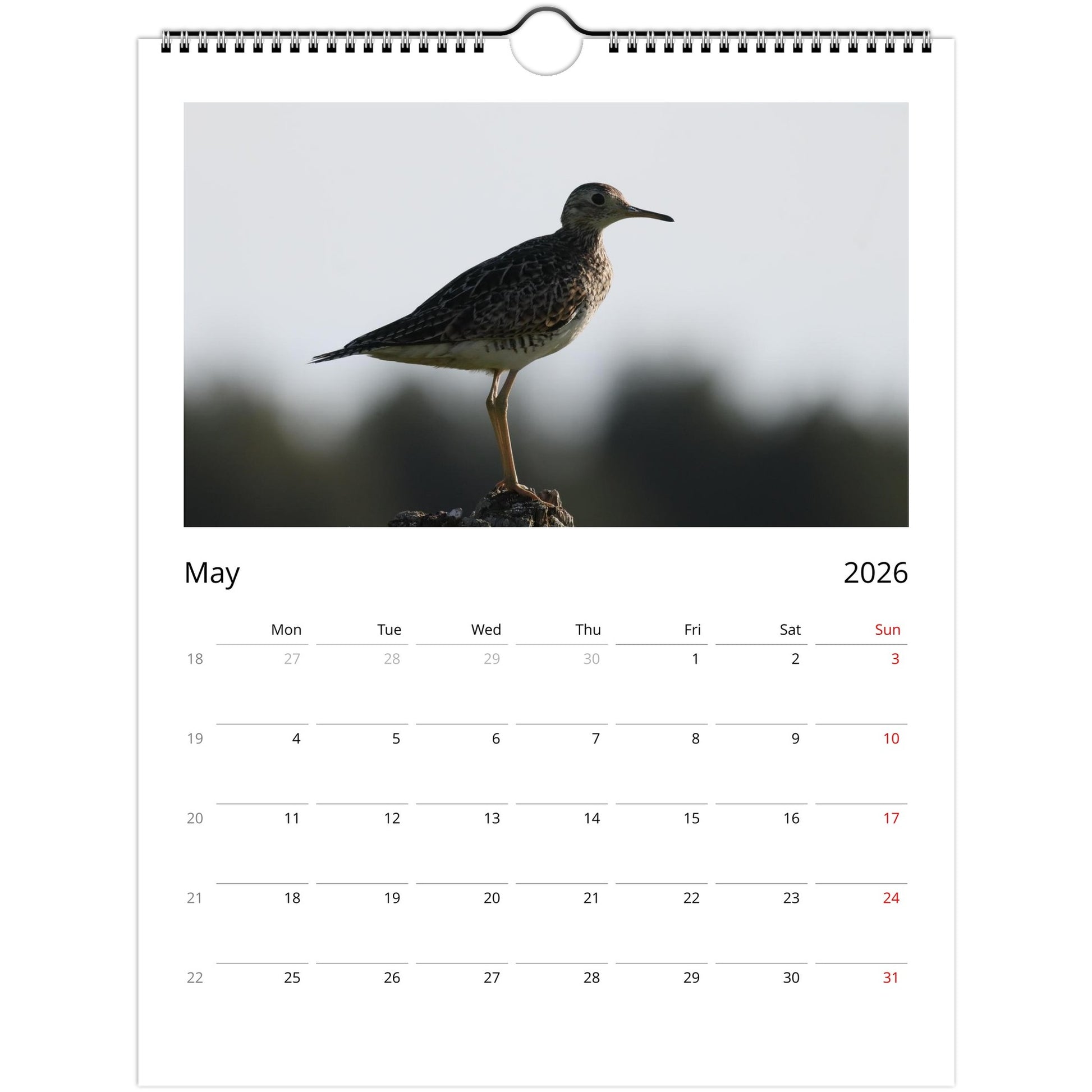 fcdb0b90-6b1c-4525-901c-3d69c9b2a0d6