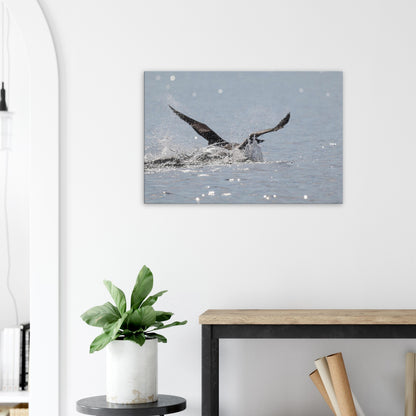 fd2ea724-12aa-455c-8d41-94b468dc22f5