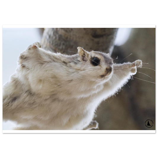 fe7f7dee-77be-4eae-88b8-2e24aed07ae6