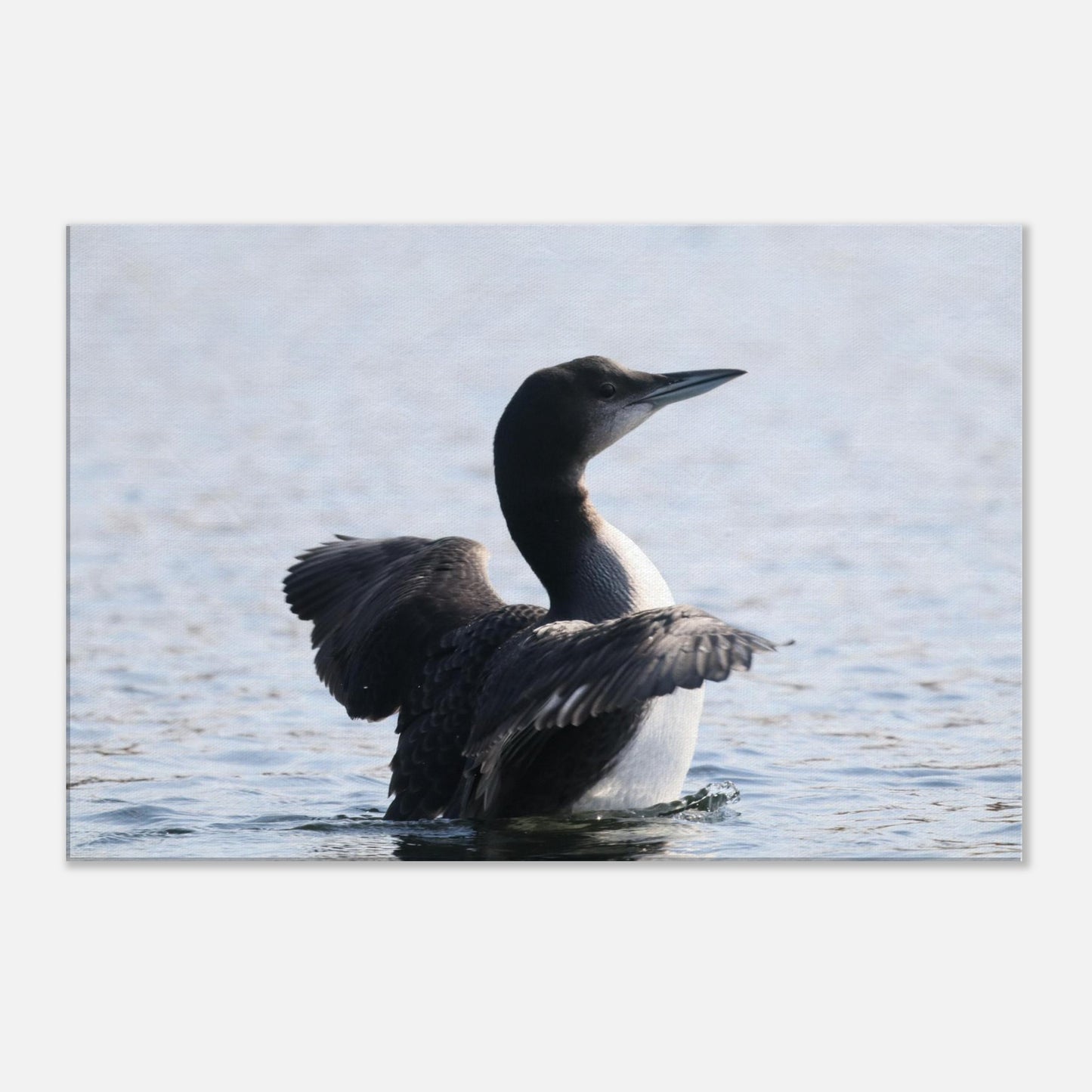 feb675b8-0895-410e-98cd-bc1009bf5569