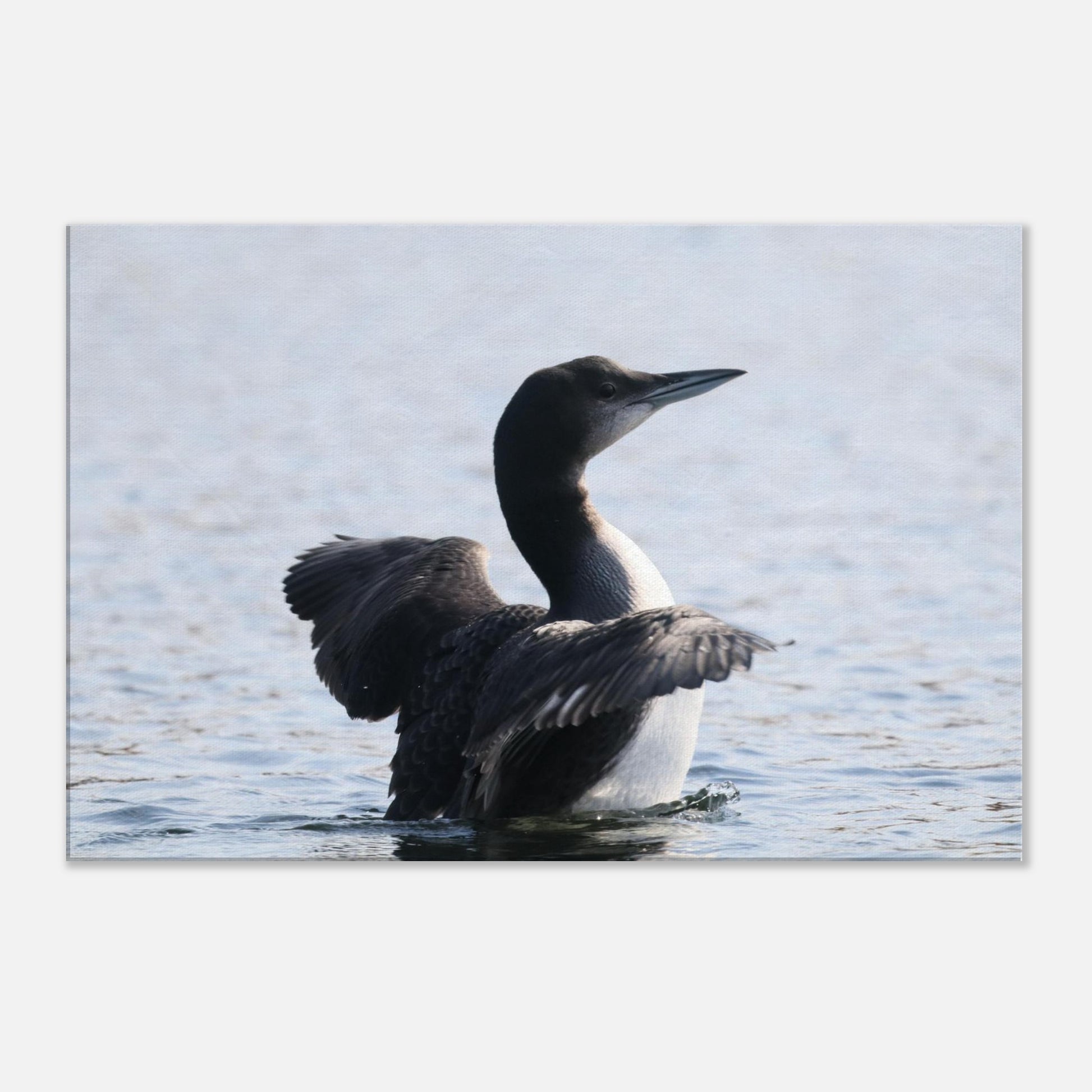 feb675b8-0895-410e-98cd-bc1009bf5569