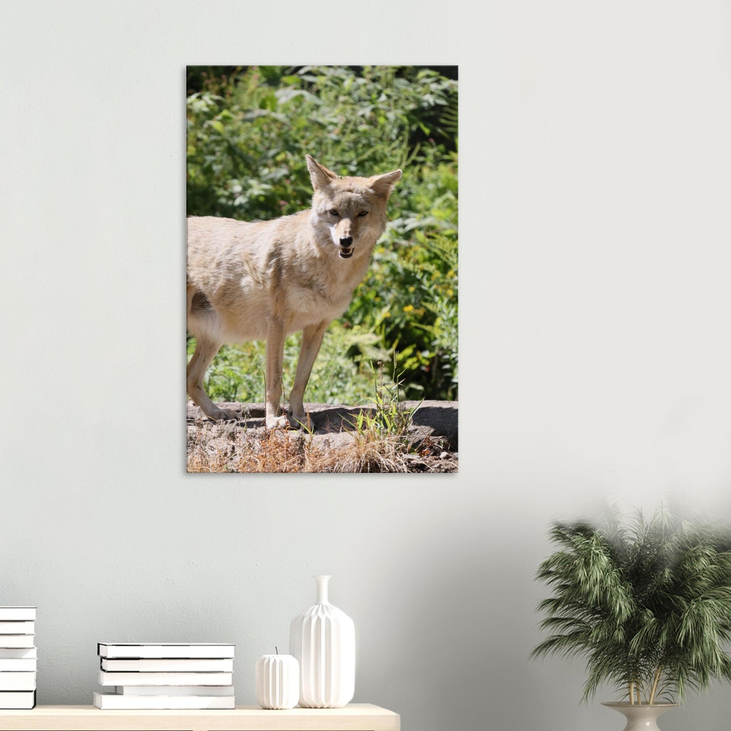 fecb729f-d38b-422e-b91b-5e196012862e