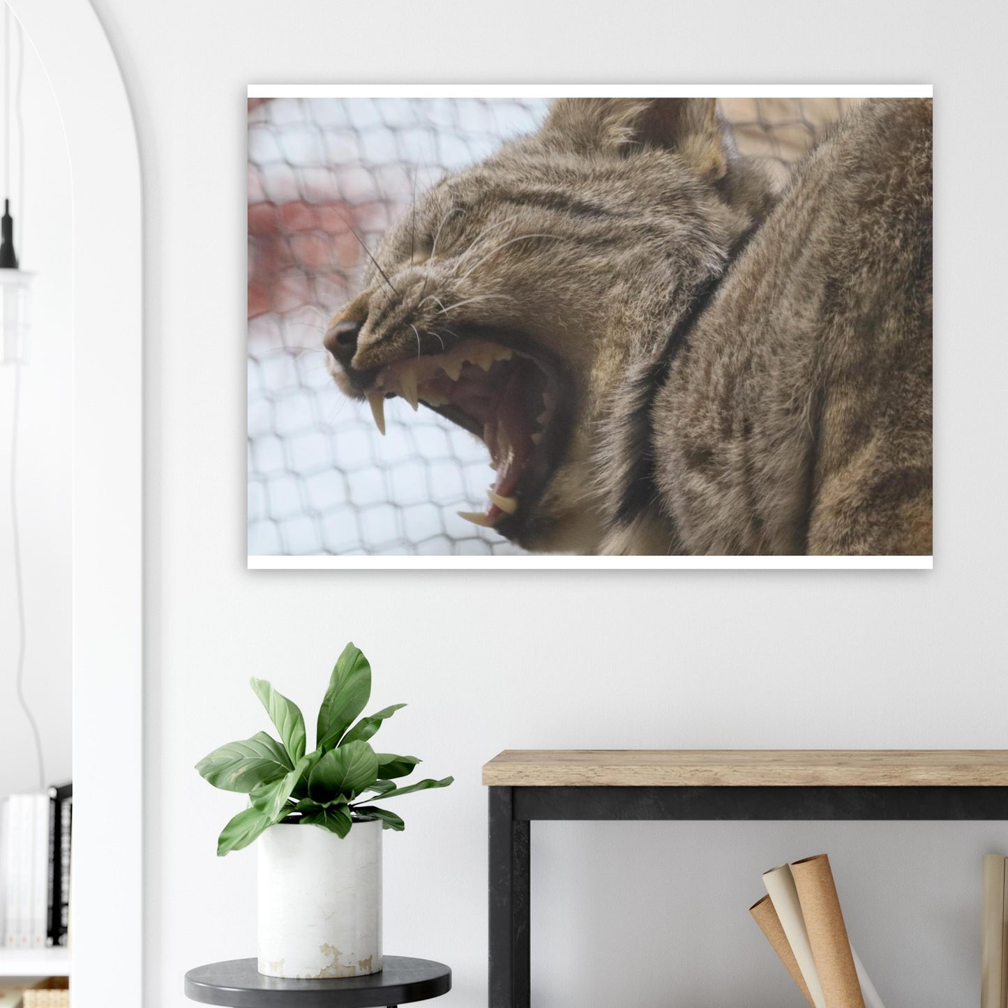 ff26ee6d-9dc1-4789-9afa-7aef3c9eb21c