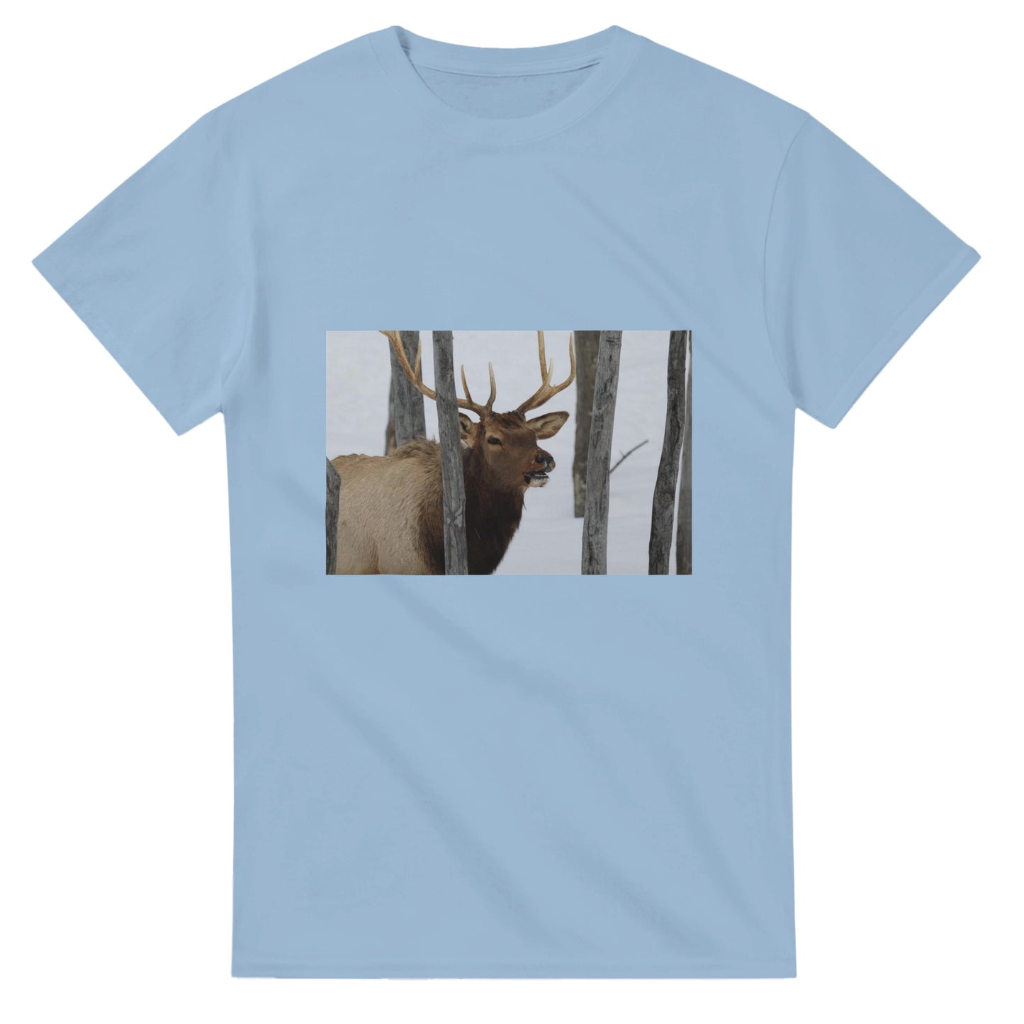 ff486ced-e5bd-45f4-87f4-d5d9ae04c936